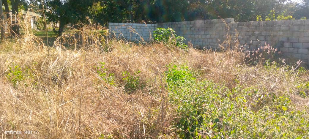 Property Thumbnail